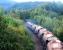 A ballast train returning south picks up speed shortly after passing through Aviemore in September 2004 behind a pair of EWS class 37 locomotives.<br><br>[John Furnevel 14/09/2004]