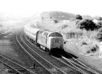 Deltic 55008 <I>The Green Howards</I> with the 11.16 Kings Cross - Aberdeen just north of Berwick in August 1981.<br><br>[John Furnevel 10/08/1981]