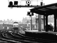 The southern approach to Carlisle in May 1971, with a class 50 hauled WCML service approaching the station.<br><br>[John Furnevel 24/05/1971]