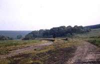 Looking west over the site of Riccarton Junction station from near the site of the south signalbox.<br><br>[Roy Lambeth 11/06/1984]