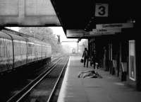 Looking east along the platforms at Southampton Central in July 1981. The mailbags have recently been unloaded from a westbound train.<br><br>[John Furnevel 06/07/1981]