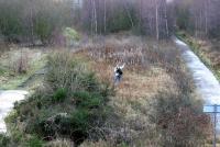 Looking west over the site of Smeaton station from the road bridge in December 2004 with no visible signs of the station, the former Dalkeith colliery or the sidings... only a waving eejit.<br><br>[John Furnevel 26/12/2004]