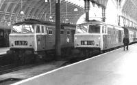 Hymeks 7031 (left) and 7002 stand at the buffer stops at Paddington station in May 1969.<br><br>[John Furnevel 05/05/1969]