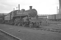 BR Standard Class 3 2-6-0 no 77000 on  Darlington shed, thought to have been photographed in the early 1960s. The view is south with the locomotive standing in the works queue sidings. In the background is the footbridge giving access to the DMU servicing area on the west side of the ECML [see image 23632]. No 77000 survived until the end of 1966 when it was finally withdrawn from Stourton shed (55B). <br><br>[K A Gray //]