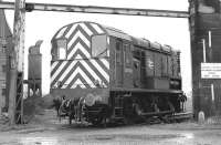 08718 framed by the gateway of the Albert Road entrance to Leith Docks on 19 February 1990.<br><br>[Bill Roberton 19/02/1990]