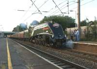 A4 Pacific no 60009 <I>Union of South Africa</I> should have been in full flow as it passed through Leyland on 18 August 2012 with the returning 'Cumbrian Mountain Express'. This was not to be as No.9 was slowed to allow a Manchester to Blackpool service to cross in front of it at Euxton Junction.<br><br>[John McIntyre 18/08/2012]