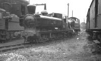 GWR 5700 class 0-6-0PT no 3709 photographed on Truro shed in August 1960.  <br><br>[K A Gray 10/08/1960]