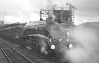 A4 Pacific no 60019 <I>Bittern</I> about to set off from Buchanan Street on 3 September 1966 with the BR (Scottish Region) A4 Farewell Tour to Aberdeen. The train was banked by Standard class 5 4-6-0 no 73153 as far as Balornock.<br><br>[K A Gray 03/09/1966]