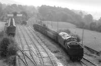 37023 during shunting operations at Redmire in the summer of 1990. [See image 40132] <br><br>[Bill Roberton 28/07/1990]