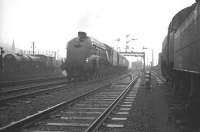 A4 Pacific no 60006 <I>Sir Ralph Wedgwood</I> about to pass Stirling South shed with the 1.30pm Aberdeen - Glasgow Buchanan Street on a miserable Monday afternoon in May 1964.<br><br>[K A Gray 18/05/1964]