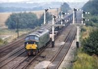 D9 <I>'Snowdon'</I>, one of the ten original class 44 'Peaks', photographed in September 1971 still sporting green livery. The locomotive is passing a fine collection of semaphore signals on the up approach to Foxlow Junction with a freight from the Sheffield area, probably bound for Toton Yard.<br><br>[Bill Jamieson 20/09/1971]