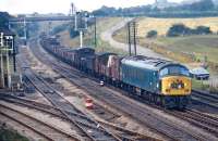 Peak No. 135 wheels the very mixed partially fitted 0330 Severn Tunnel Junction to Tinsley past Foxlow Junction, just east of Barrow Hill, in September 1971. The tracks diverging to the left led to Hall Lane Junction (forming a triangle with the branch from Barrow Hill) and Staveley Town.<br><br>[Bill Jamieson 20/09/1971]