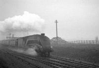 A4 60001 <I>Sir Ronald Matthews</I> takes an ECML train past the site of Little Benton Sidings, south of Benton Quarry Junction in the 1960s. <br><br>[K A Gray //]