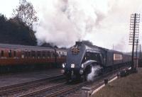 A4 Pacific 60022 <I>Mallard</I> is still working hard on the 1 in 78 approach to the Calton Tunnel on Saturday 26th May 1962 with the Gainsborough Model Railway Society 'Forth Bridge Special' from Lincoln. [With thanks to Bill Jamieson] [See image 36858]<br><br>[Frank Spaven Collection (Courtesy David Spaven) 26/05/1962]