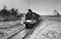 Just west of Avoch was Rosehaugh Crossing. On the 14th of June 1960 the RCTS/SLS Joint Scottish Tour approaches the crossing<br><br>[WA Camwell (Copyright Stephenson Locomotive Society) 14/06/1960]