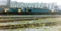 Locomotive lineup at Gateshead in 1981. Those present include 47405, 40006 and 45002.<br><br>[Colin Alexander //1981]