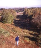 On a pre-construction walk along the route of the Borders Railway on 9th October 2012, a view from high above the first cutting which will need to be excavated south of Newcraighall. Looking north, a strip of woodland at the north west end of the former Millerhill Down Yard has already been cut back. The new line�s most northerly dynamic loop will revert to single track south of the red buffer stop of the Newcraighall turnback siding, which can just be seen in the distance.<br><br>[David Spaven 09/10/2012]