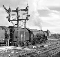 Staking out a spot a good hour before scheduled departure time is no guarantee that someone won't spoil the shot at the last minute - I just hope the photographer getting a close-up of Duchess of Sutherland's tender at Stirling on 6 October isn't a Railscot contributor! [See image 40685]<br><br>[Bill Jamieson 06/10/2012]