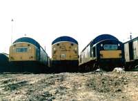 Three EE Type 4s - three front ends. Scene in the sidings alongside Edge Hill shed, Liverpool, in June 1969.<br><br>[John Furnevel 01/06/1969]