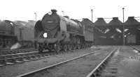 The shed yard at Salisbury in August 1961 with 'King Arthur' class 4-6-0 no 30451 <I>Sir Lamorak</I> nearest the camera.<br><br>[K A Gray 15/08/1961]