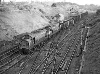 EE Type 3s Nos. 37056 and 37165 wheel a northbound train of empty iron ore hoppers through Goose Hill Junction, Normanton, on 22 June 1977. I assume the train is destined for Redcar, (any confirmation of likely origin/destination would be appreciated). [Image from a roll of film developed more than 30 years after exposure].<br><br>[Bill Jamieson 22/06/1977]