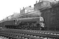 A1 Pacific no 60146 <I>Peregrine</I> on manoeuvres at King Edward Bridge Junction in October 1962.<br><br>[K A Gray 06/10/1962]