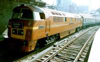 D1015 <I>Western Champion</I> prepares to leave Paddington on 17 August 2002 with the 'Western Noon' railtour to Birmingham and Worcester.<br><br>[Colin Alexander 17/08/2002]