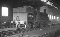 Drummond class M7 0-4-4T no 30036 inside Plymouth Friary shed in the summer of 1961.<br><br>[K A Gray 17/08/1961]