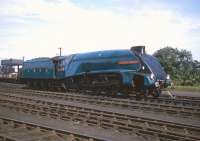 4498 stands at Kingmoor in May 1968, not long after emerging from a visit to Crewe Works.<br><br>[Robin Barbour Collection (Courtesy Bruce McCartney) /05/1968]