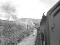 Greskine Signal Box