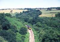 A diesel railcar on the Newquay line seen from Treffry Viaduct in August 1989.<br><br>[Ian Dinmore /08/1989]