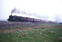 A northbound parcels train ascending Shap in the sixties behind Black 5 no 45373.<br><br>[Robin Barbour Collection (Courtesy Bruce McCartney) //]