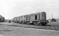 Three EE Type 1s keep company at Hull Dairycoates shed in August 1970, with a Brush Type 4 lurking in the background. The leading class 20 is No. 8313, followed by 8312, with 8314 bringing up the rear.<br><br>[Bill Jamieson 12/08/1970]