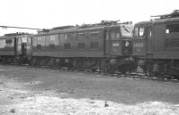 26038 and 26025 stand amongst a number of EMI (later Class 76) 1.5kV DC electric locomotives stabled in the sidings at Wath in the early 1960s. [See image 20995]<br><br>[K A Gray //1962]