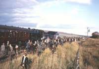 43000+43063 at Woodburn with <I>The Wansbeck Piper</I> on 2 October 1966. The pair had just completed a run round manoeuvre at what was then the end of the line and were preparing to take the special back to Newcastle via Morpeth. <br><br>[Robin Barbour Collection (Courtesy Bruce McCartney) 02/10/1966]