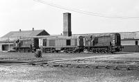 A lunchtime class 20 sandwich at Hull Dairycoates shed on 12th August 1970. No. 8310 is flanked by class 08 shunters Nos. 3236 (left) and 3079.<br><br>[Bill Jamieson 12/08/1970]