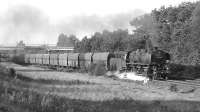 DB oil-fired 3 cylinder 2-10-0 043 903 makes for Emden at Meppen with a load of bogie hoppers early on the morning of 7th September 1974. 043 903 had been built in 1943 by the French firm Batignolles in Nantes as 44 903 and remained in West Germany after WW2, unlike most of the French built members of the class running on DB metals, which were eventually repatriated to their country of manufacture.<br><br>[Bill Jamieson 07/09/1974]