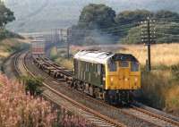 BR Sulzer Type 2 No. D7591 gets a bit of an outing away from its more usual Craigentinny - Waverley ECS duties as it powers the 16.15 Edinburgh FLT - Pengam FLT service southwards between Penmanshiel Tunnel and Grantshouse in 1971.<br><br>[Bill Jamieson 19/08/1971]