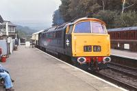 D1048 <I>Western Lady</I> at Grosmont in October 1978.<br><br>[Peter Todd 07/10/1978]