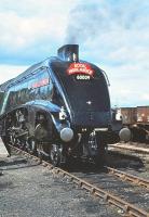 <h4><a href='/locations/A/Aviemore'>Aviemore</a></h4><p><small><a href='/companies/I/Inverness_and_Perth_Junction_Railway'>Inverness and Perth Junction Railway</a></small></p><p>A4 Pacific 60009 <I>Union of South Africa</I> at Aviemore in June 1980 about to return to Edinburgh with the <I>'Royal Highlander'</I> special.</p><p>27/06/1980<br><small><a href='/contributors/Peter_Todd'>Peter Todd</a></small></p>