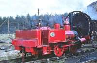 No 18 at Beamish in 1979. Built by Lewin & Co of Poole, Dorset in 1877 (works no 683), originally as a well tank, it was rebuilt as a saddle tank at the Seaham Harbour engine works in 1936. No 18 was withdrawn by the SHDC in 1969 and later moved to the collection at Beamish, following which it underwent a conversion to 'original works appearance'. The locomotive has since been rebuilt and restored as a saddle tank. [See image 45409]<br><br>[Peter Todd 13/04/1979]