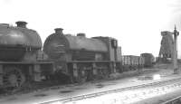 J94 0-6-0STs standing in the shed yard at Immingham circa 1960. 68074 and 68078 are nearest the camera.    <br><br>[K A Gray //1960]