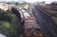 A Class 08 shunts barley hoppers destined for Scottish Malt Distillers' private sidings at Burghead and Muir of Ord off the Derwent Valley Railway on to the Foss Branch at Foss Islands Junction by York Layerthorpe in July 1972. <br><br>[Frank Spaven Collection (Courtesy David Spaven) /07/1972]