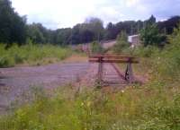 This headshunt for a steel loading point (Alphasteel, IIRC) used to be near the Western end of the loop line from Crindau past wharves on the Usk [see image 39348] to the yard by Ebbw Junction. The lush vegetation reflects the above average rainfall in this area. View looks West; the precise location of Courtybella Junction would be perhaps 60 feet beyond the buffer stop. There was a temporary passenger station in this area in the mid-19th century.<br><br>[Ken Strachan 20/06/2012]