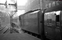 60031 <I>Golden Plover</I> about to leave Glasgow Queen Street on 18 April 1965 with the BLS 'Scottish Rambler no 4'. The special ran to Edinburgh Waverley, then on to Carlisle via Hawick, returning to Glasgow (Central) on the WCML.<br><br>[K A Gray 18/04/1965]