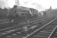 An undated photograph showing A4 Pacific no 60033 <I>Seagull</I> at the west end of Newcastle. In the background a freight is approaching off the King Edward Bridge.<br><br>[K A Gray //]