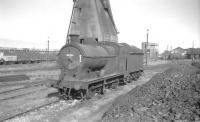 Robinson class J11 0-6-0 no 64284 in the shed yard at Immingham in the late spring of 1961.<br><br>[K A Gray 27/05/1961]