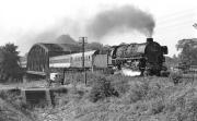 Listen to that 3 cylinder roar! Oil fired Pacific No. 012 080 powers a northbound express over the River Ems at Hanekenfhre on the morning of 7th September 1974. The bridge was only single track at that time (possibly not having been fully rebuilt after WW2) and created something of a bottleneck. Double track has since been reinstated here.<br><br>[Bill Jamieson 07/09/1974]