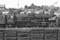 Crailsheim is an important junction between the Nrnberg to Heilbronn main line and cross country routes north to Lauda and south to Aalen. In the summer of 1974 the shed still had a large steam allocation but the diesel usurpers were already present and a visit on Sunday 1st September that year found only a handful of locos in steam, including one of the last-built class 50s, 053 089. <br><br>[Bill Jamieson 01/09/1974]