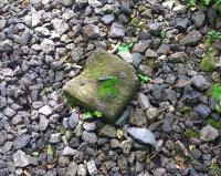 A surviving 'Hallade Monument' in the six foot on the Waverley trackbed near Sheriffhall [see image 39712] in July 2012. Part of a now obsolete system, named after a French engineer, used in surveying and checking track curvature. The notch marks the centrepoint from each outside edge while the figures on either side indicate the cant. The base figure is the recording number.<br><br>[John Furnevel 25/07/2012]